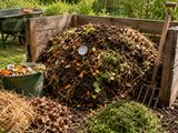 How to Make Compost